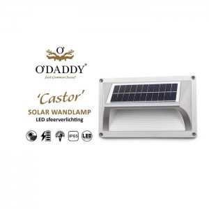 Solar Wall Light small Castor tuinverlichting